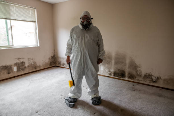 Best Commercial Mold Inspection  in Pickens, MS
