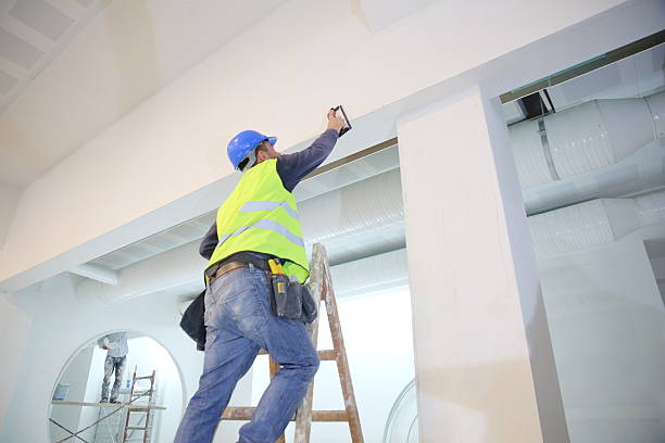 Best Environmental Consulting for Mold Prevention  in Pickens, MS