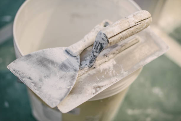 Reliable Pickens, MS Mold Removal Solutions
