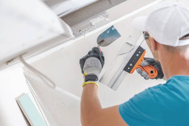 Best Attic Mold Removal  in Pickens, MS